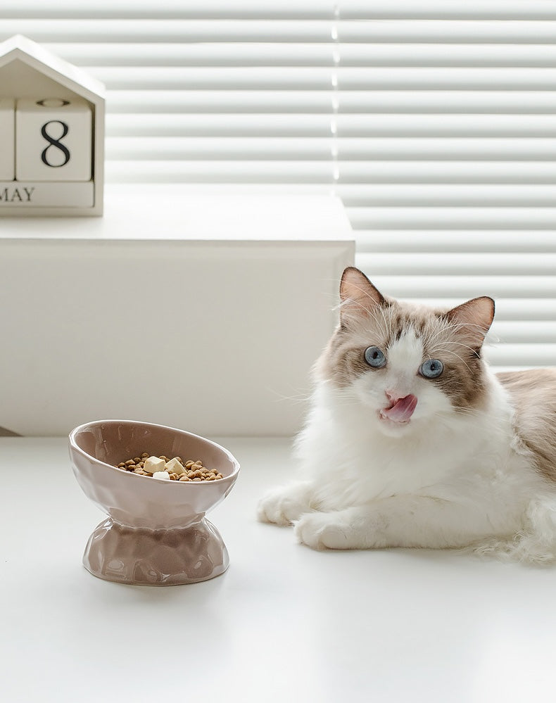 Glossy Textured Raised Ceramic Cat Bowl – Angled Rim