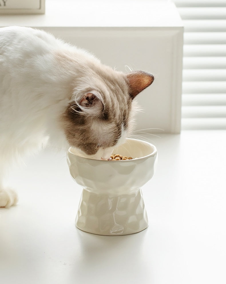 Glossy Textured Raised Ceramic Cat Bowl – Flat Rim