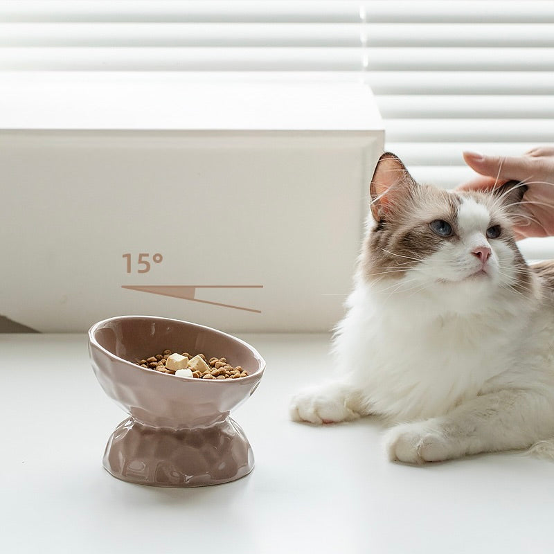 Glossy Textured Raised Ceramic Cat Bowl – Angled Rim