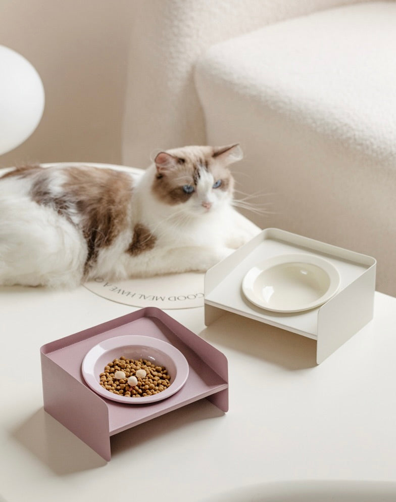 Iron Ceramic Angled Pet Bowl with Stand
