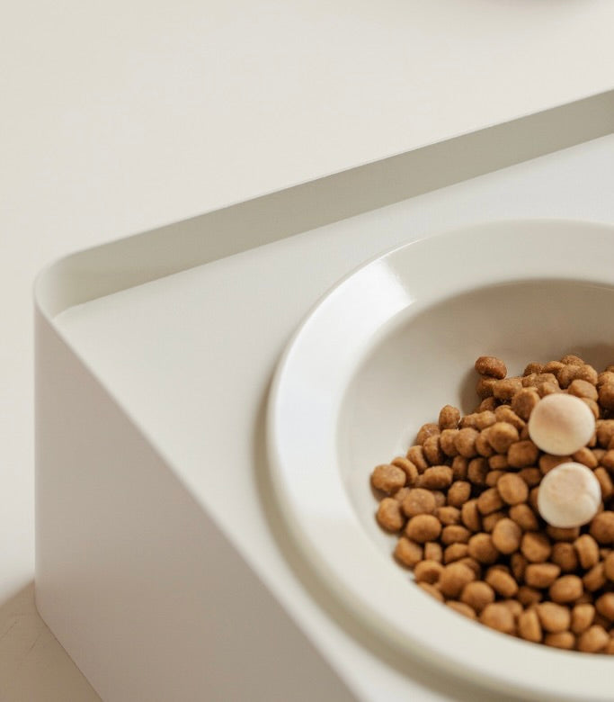 Iron Ceramic Angled Pet Bowl with Stand