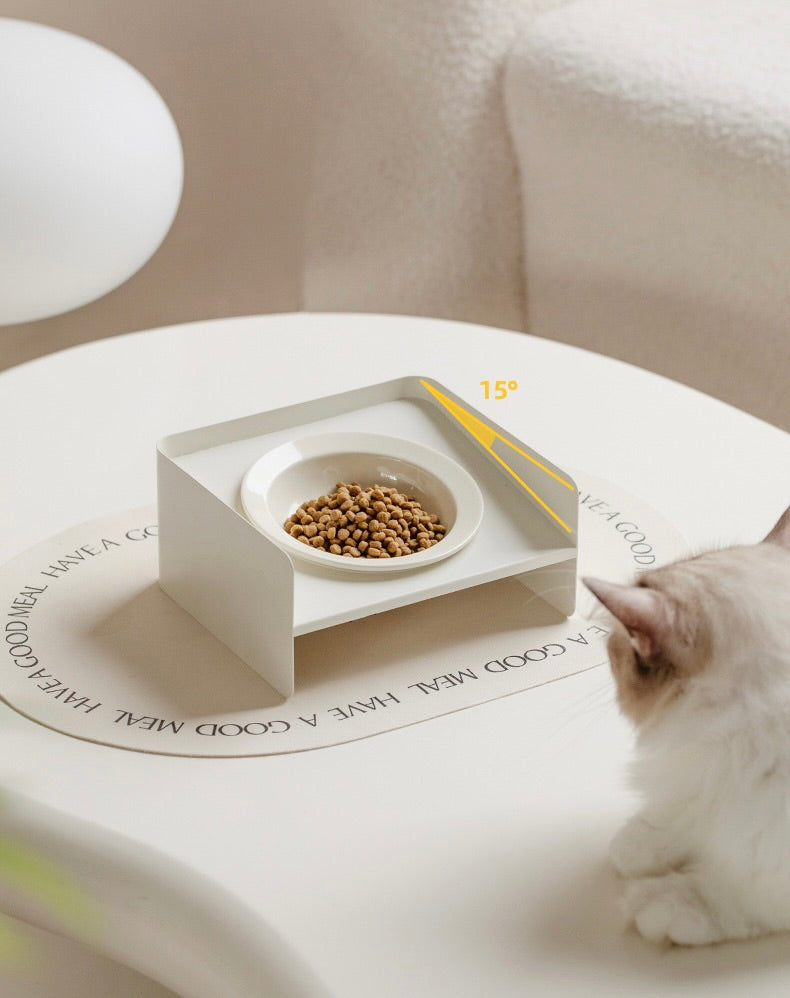 Iron Ceramic Angled Pet Bowl with Stand