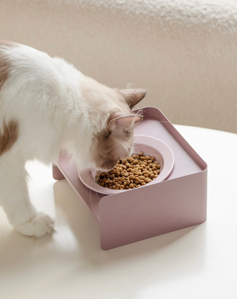 Iron Ceramic Angled Pet Bowl with Stand