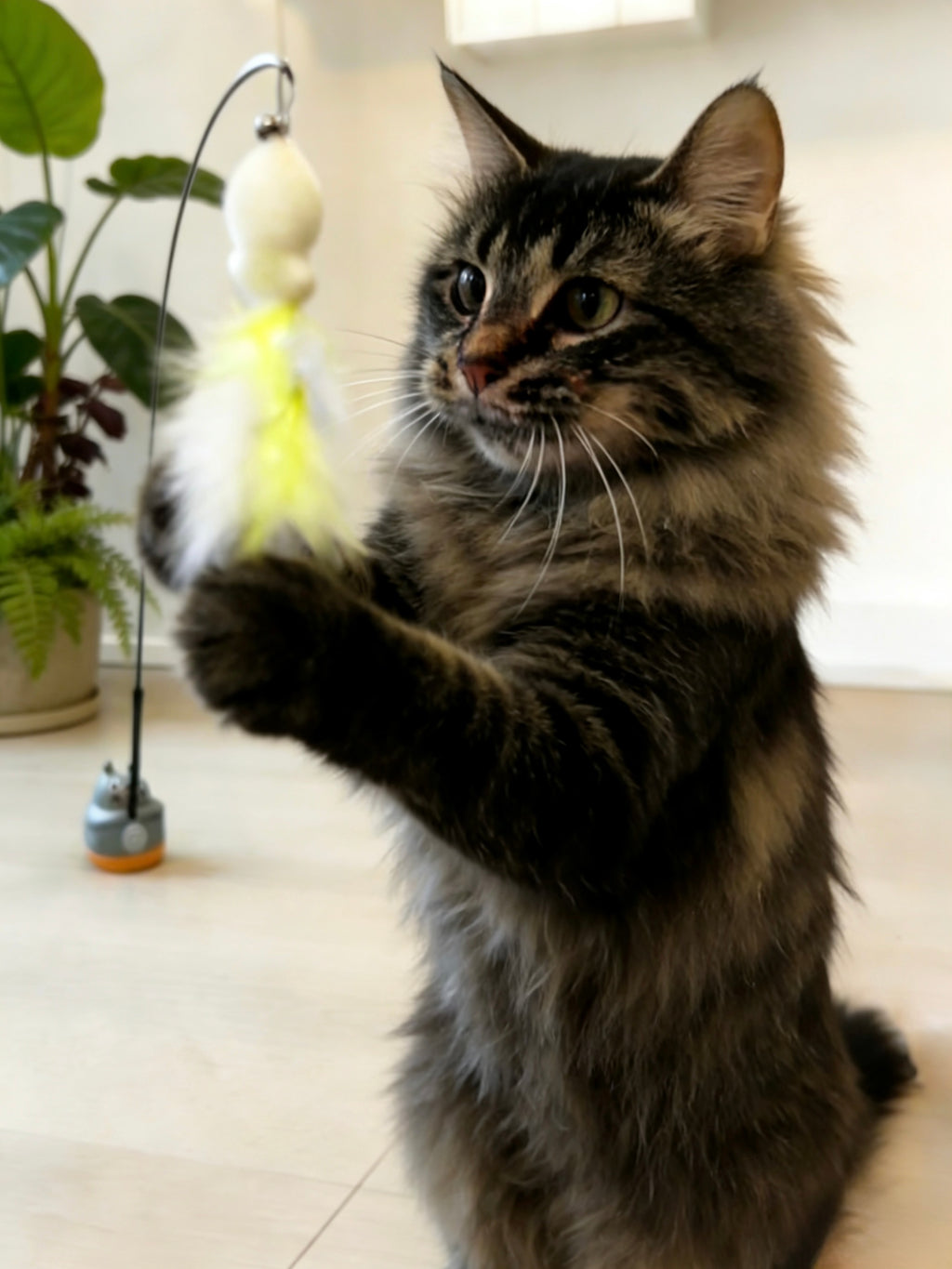 360° Rotating Interactive Cat Wand Toy