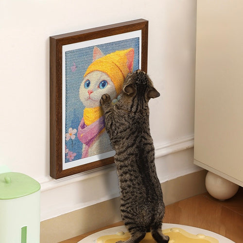 Art Cat Scratching Board With Frame