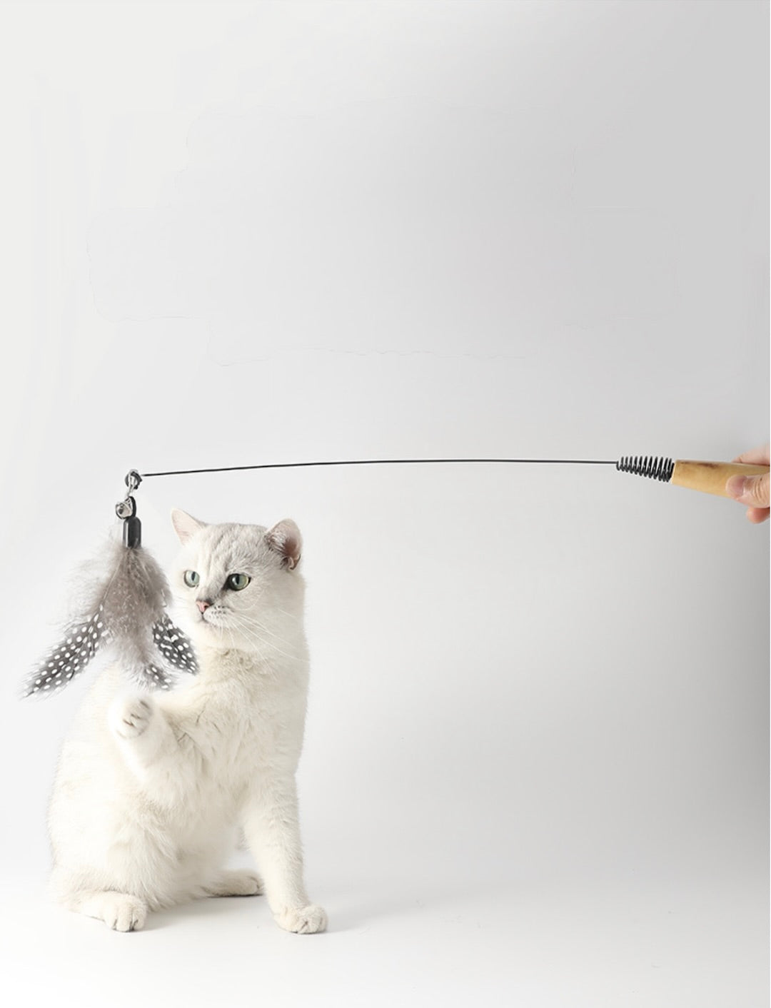 Feather Teaser Wand Cat Toy with Wooden Handle