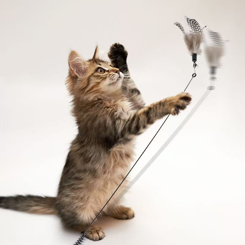 Feather Teaser Wand Cat Toy with Wooden Handle