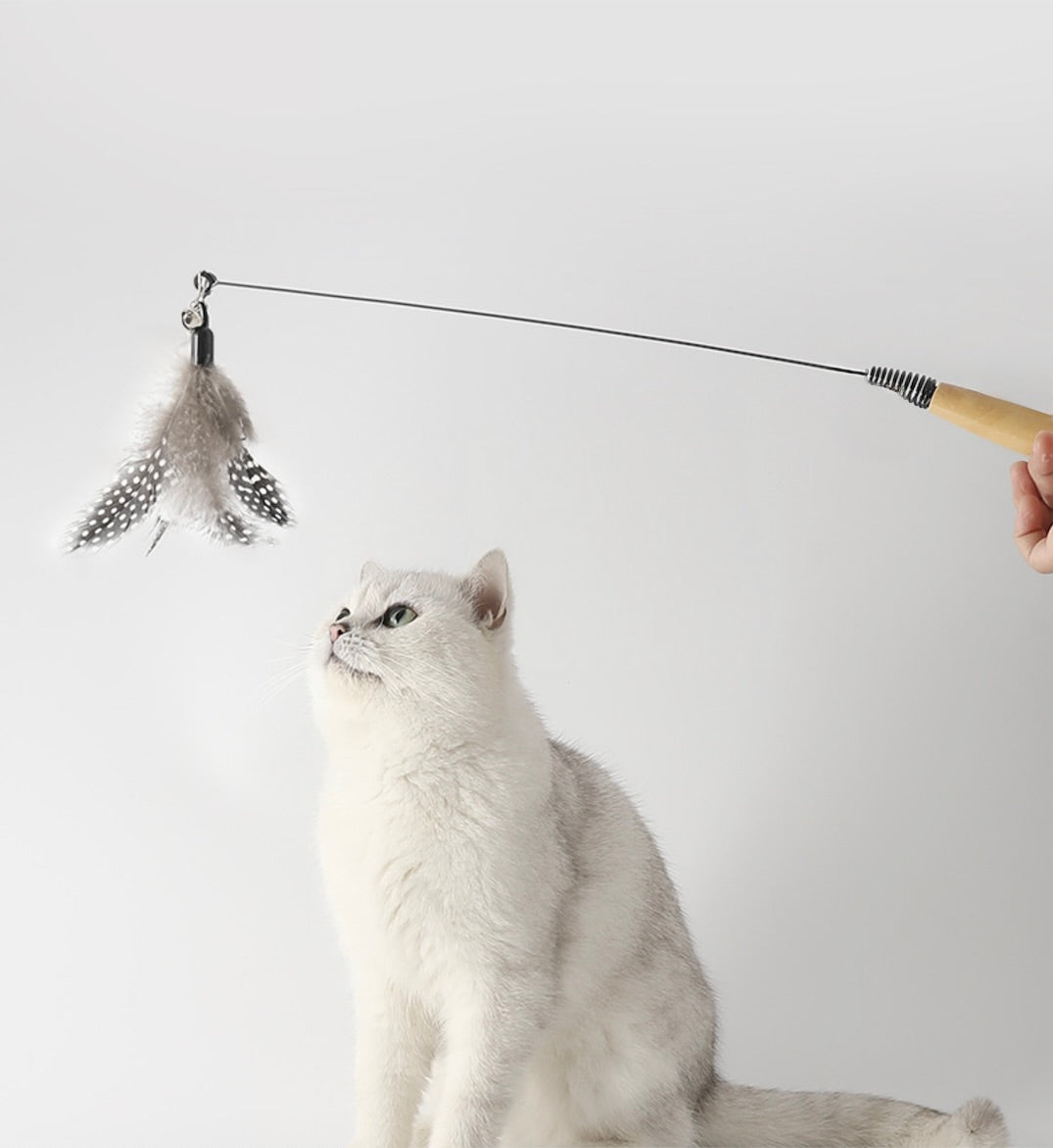 Feather Teaser Wand Cat Toy with Wooden Handle
