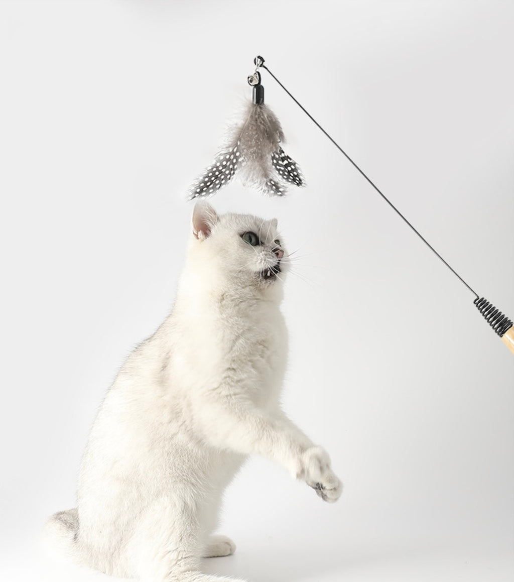 Feather Teaser Wand Cat Toy with Wooden Handle