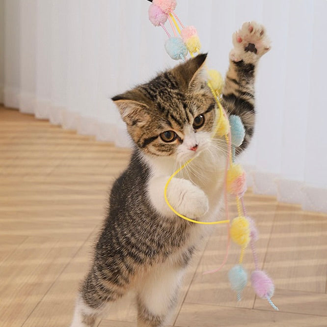Pom-Pom Cat Wand Toy