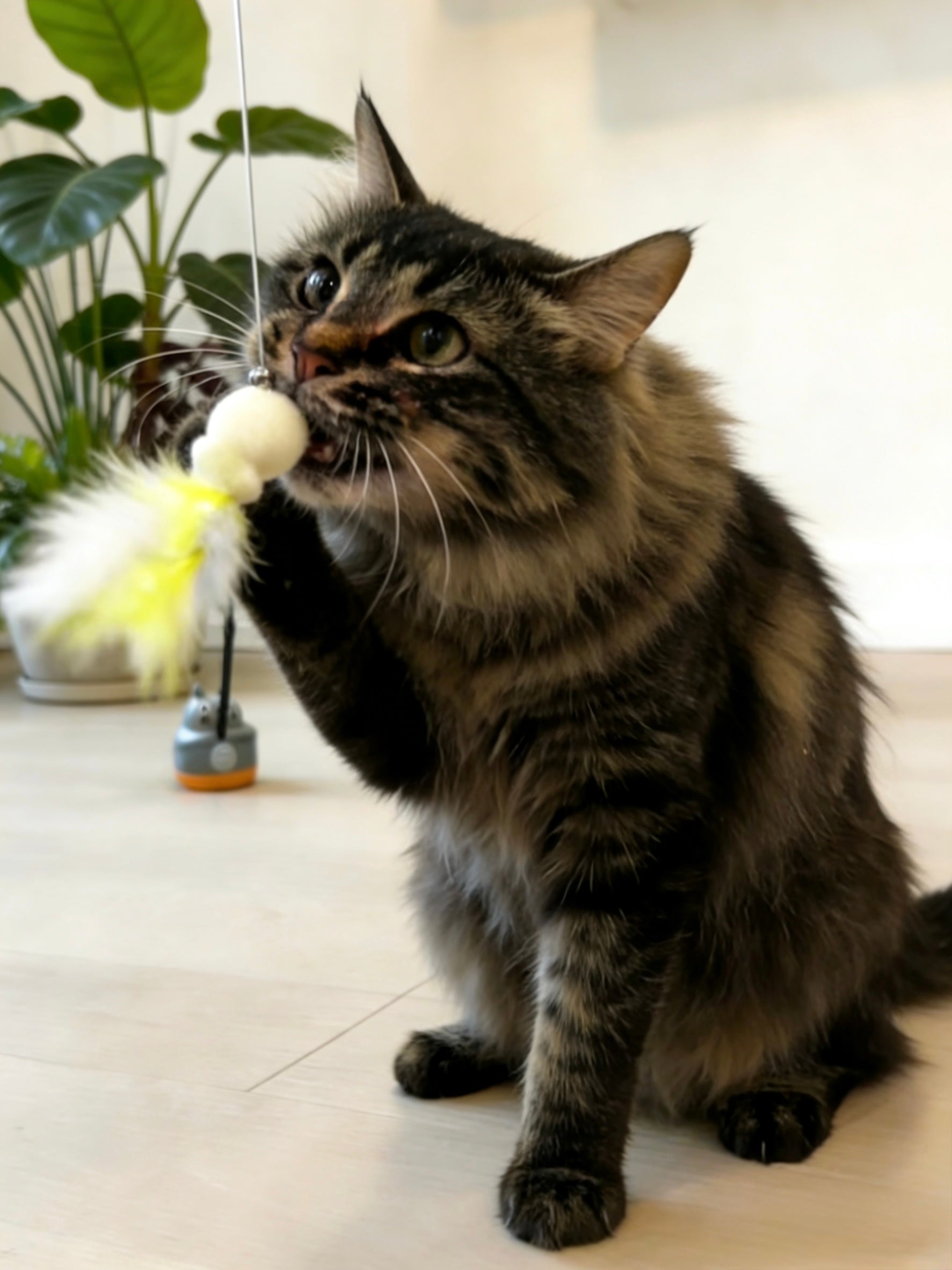 360° Rotating Interactive Cat Wand Toy